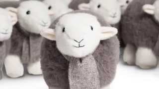 My herdy [upl. by Alfie]