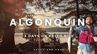 New to the backcountry Trip to Ralph Bice Algonquin 4K [upl. by Hbahsur]