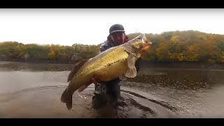 Gros sandre de 102 cm en verticale  Le Poisson Dune Vie quotle Graalquot [upl. by Atilehs]