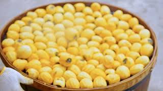 Guangchang Chishui persimmon cakes repeatedly sundried and smoked soft and glutinous [upl. by Elamaj]