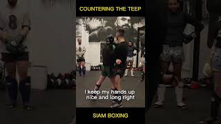 Jumping Knee  Teep Counter with Savvas Michael muaythai [upl. by Anahtor]