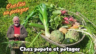 TOUR DU POTAGER DÉBUT JUILLET ET PREMIÈRES RÉCOLTES ENFIN [upl. by Rogerson]