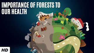 Importance Of Forests To Our Health [upl. by Rojas]