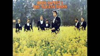 Herb Alpert amp The Tijuana Brass  Slick [upl. by Favianus]