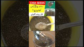 Chia Seeds Ke Fayde Or Nuksan shorts chiaseeds chiaseedsdrink urdu dailytips urdutipstotky [upl. by Penelopa]