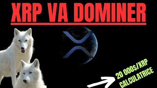 🐺RippleXRP XRP VA DOMINER I XRP  20 000 CALCULATRICE [upl. by Inaluahek]