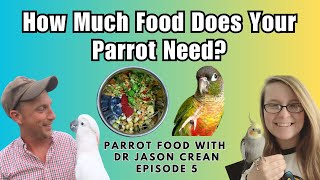 Parrot Food Portion Sizes  Parrot Food With Dr Jason Crean Episode 5  BirdNerdSophie [upl. by Gord547]