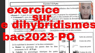 exercice sur le dihybridismebac2023 PC [upl. by Klute144]