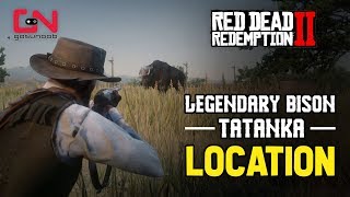 Red Dead Redemption 2  Legendary Tatanka Bison Location [upl. by Shir]