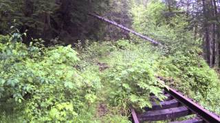 Railroad Ruins On The Salmonberry River [upl. by Marybelle]