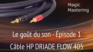 2024 HP DRIADE FLOW 405  Le goût du son 1 [upl. by Haroppiz]