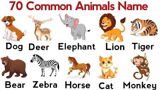 Animals Name  Learn Animals Name in English  Animals Name Basic English Learning  animal pictures [upl. by Anaizit]