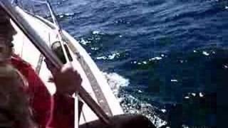 Wilderness 40 ocean racer is family fun Fastest sailboat we ever own [upl. by Beaufert]