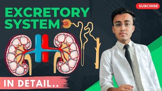 Excretory System In Humans  10thCBSEICSE  lifeprocessclass10th renalsystem [upl. by Adirahs810]