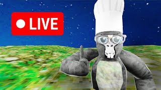 🔴GORILLA TAG LIVE 🔴FAN GAMES  ONLY UP AND MORE  BIG LIVE STREAM [upl. by Ahtennek]