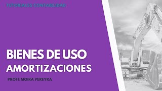 Bienes de Uso  Amortizaciones  Contabilidad  Activo [upl. by Vadim85]