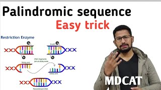 What is palindromic sequence palindrome in DNA2021palindrome kia hy easy way emdcat By zahid [upl. by Ynohtnaluap]