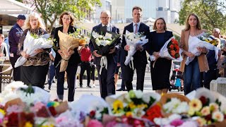 ‘Shocking tragedy’ Matt Thistlethwaite on Bondi attack [upl. by Dean]