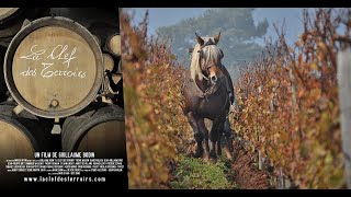 🍷 La Clef des Terroirs 🎥 Film documentaire français [upl. by Oilerua683]