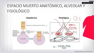 SEMINARIO  NEUMOLOGIA 2  Dr Nives [upl. by Nahgen775]