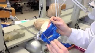 Rubber Dam  Isolation In Conservative and Endodontics Dentistry [upl. by Oicnoel]