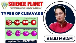 TYPES OF CLEAVAGE II BY ANJU MAM II SCIENCE PLANET II Embryonic Development [upl. by Manon]