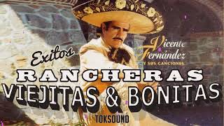 VICENTE FERNANDEZ GRANDES EXITOS VICENTE FERNANDEZ MIX PA PISTEAR PARA ADOLORIDOS [upl. by Billmyre]