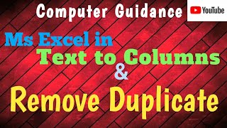 Text to Columns and Remove duplicate in ms excel ll Computer center Samoda [upl. by Eisinger]