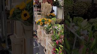 Sunday flower market at Columbia Road Hoxton Londonflowermarket beautifulflowers london love [upl. by Anaerb530]