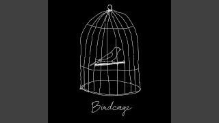 Birdcage [upl. by Anail411]