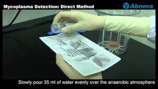 Mycoplasma Detection Direct Method [upl. by Sukramed953]