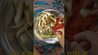 Eating Elephant apple shorts elephant apple elephantapple [upl. by Ayifas]