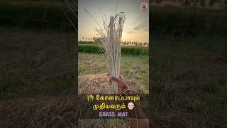 🌾 கோரைப்பாயின் அருமை தெரியுமா 👴🏻 MudPot Channel [upl. by Jenny]