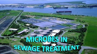 Microbes in human welfare  part 2 [upl. by Eireva841]