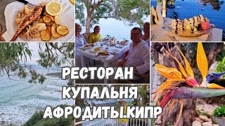 КипрКупальни Афродиты ресторан на берегу Средиземного моряМенюцены на КипреСемейный влог [upl. by Lombard]