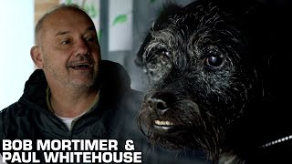 Bob Paul amp Ted Visit A Dog Shelter  Gone Christmas Fishing  Bob Mortimer amp Paul Whitehouse [upl. by Dorfman744]