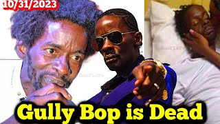 Rags to Riches and Fame amp Back to Rags then Death Gully Bop is Gone 😭😭😔 [upl. by Adnamra]