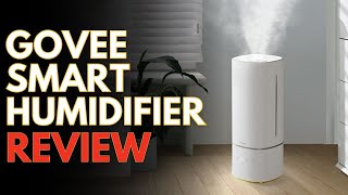 Govee Smart Humidifier Review [upl. by Boyt]