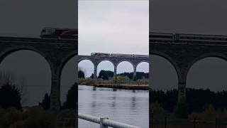 BelfastDublin Train train dublin belfast irishrail viaduct drogheda tren locomotive shorts [upl. by Clay]