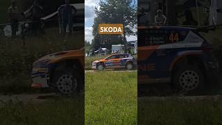 WRC SKODA OUT OF THE TREES [upl. by Doersten]