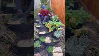 Garden steps on terraced backyard slope with DIY hillside Dirt Lockers®️ [upl. by Adi]