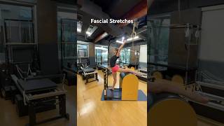 Fascial Stretches fascia stretching aging sportsperformance mobility movement [upl. by Anthea]