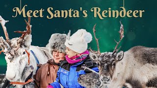 Meet Santas Reindeer with Canterbury Travel [upl. by Sandry60]