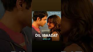 Dil ibadat cover bollywood music song slowmotion bollywoodlofi [upl. by Naret234]