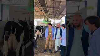 With Respected Sir DrAmir Seyab Sahib at Taza Dairy Farm Charbagh unfrezzmyaccount [upl. by Rebecca]