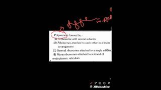 Cell unit of life ❤️💚 shorts  polyribosomes cell 👍👍 [upl. by Garik]
