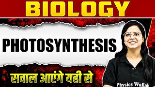 CSIR NET Life Sciences  Plant Physiology  CSIR NET Photosynthesis for Life Science Exam 2024 [upl. by Amlet]