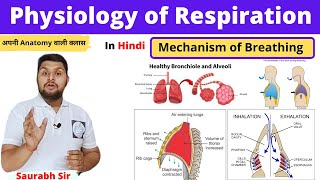 Mechanism of RespirationPhysiology of respiration in Hindi inspiration expirationNursing NEET [upl. by Teyut]