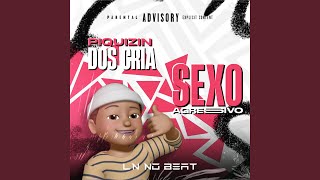 Sexo Agressivo  Piquizin dos Cria [upl. by Rowell908]