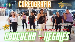 CHUCUCHA  ILEGALES  MERENGUE  COREOGRAFIA FT DAVID DOMINGUEZ [upl. by Lieberman]